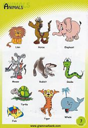 Animals Vocabulary For Kids