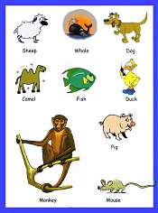 Animals Vocabulary 5