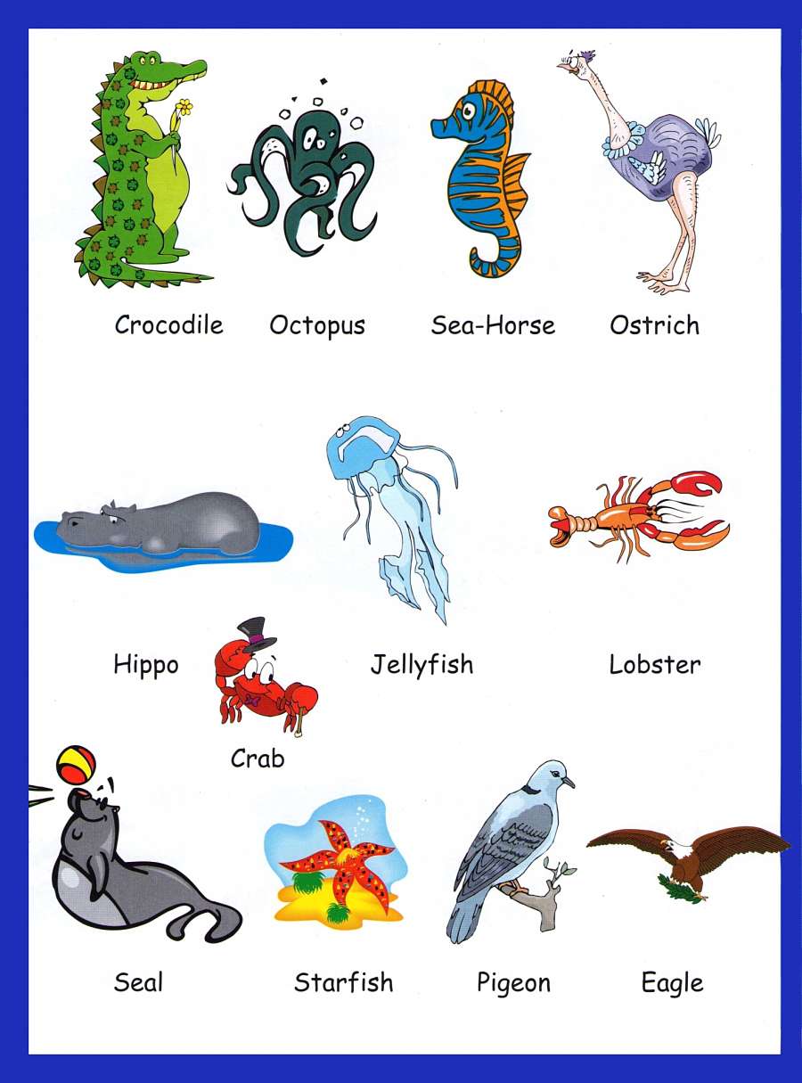 Animals Vocabulary For Kids