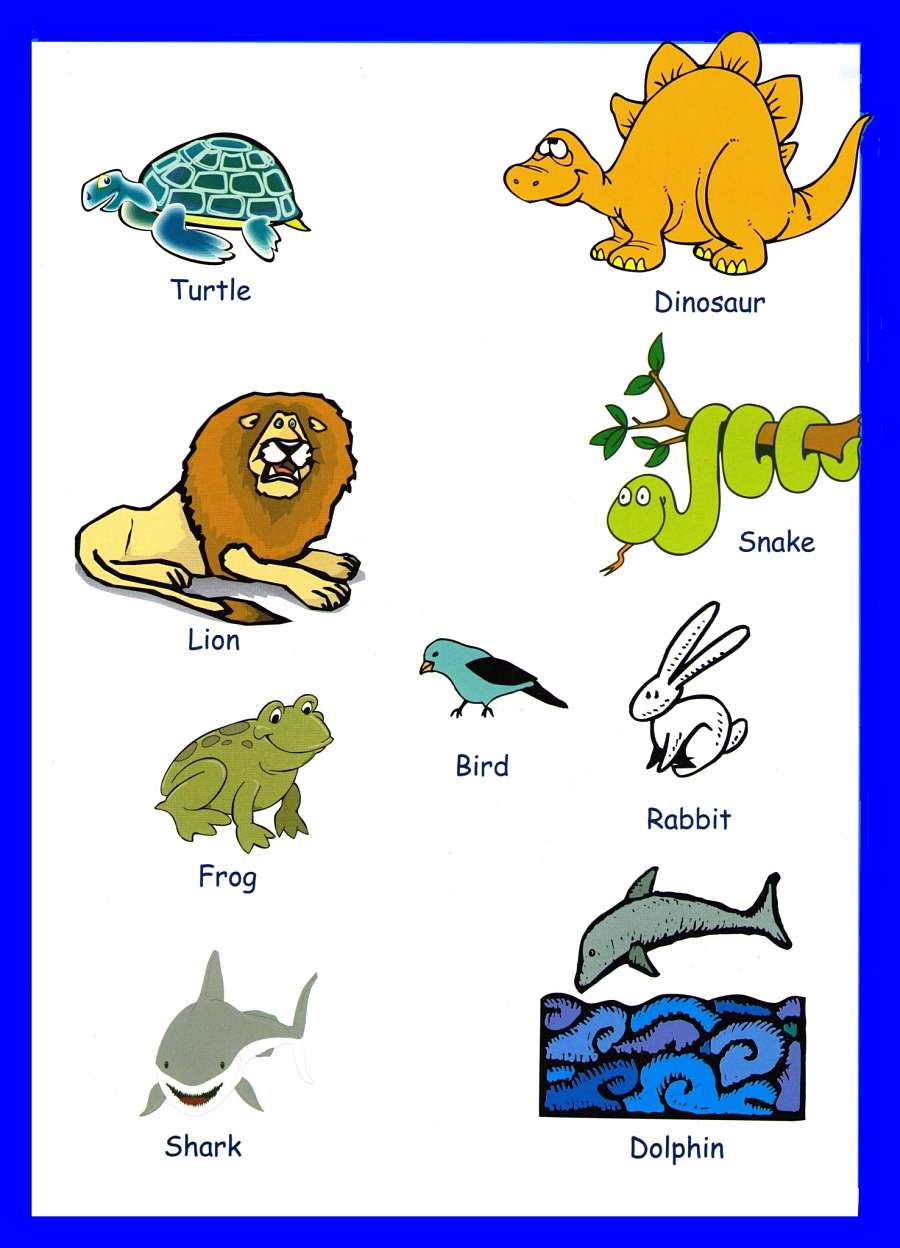 animals pictures for kids