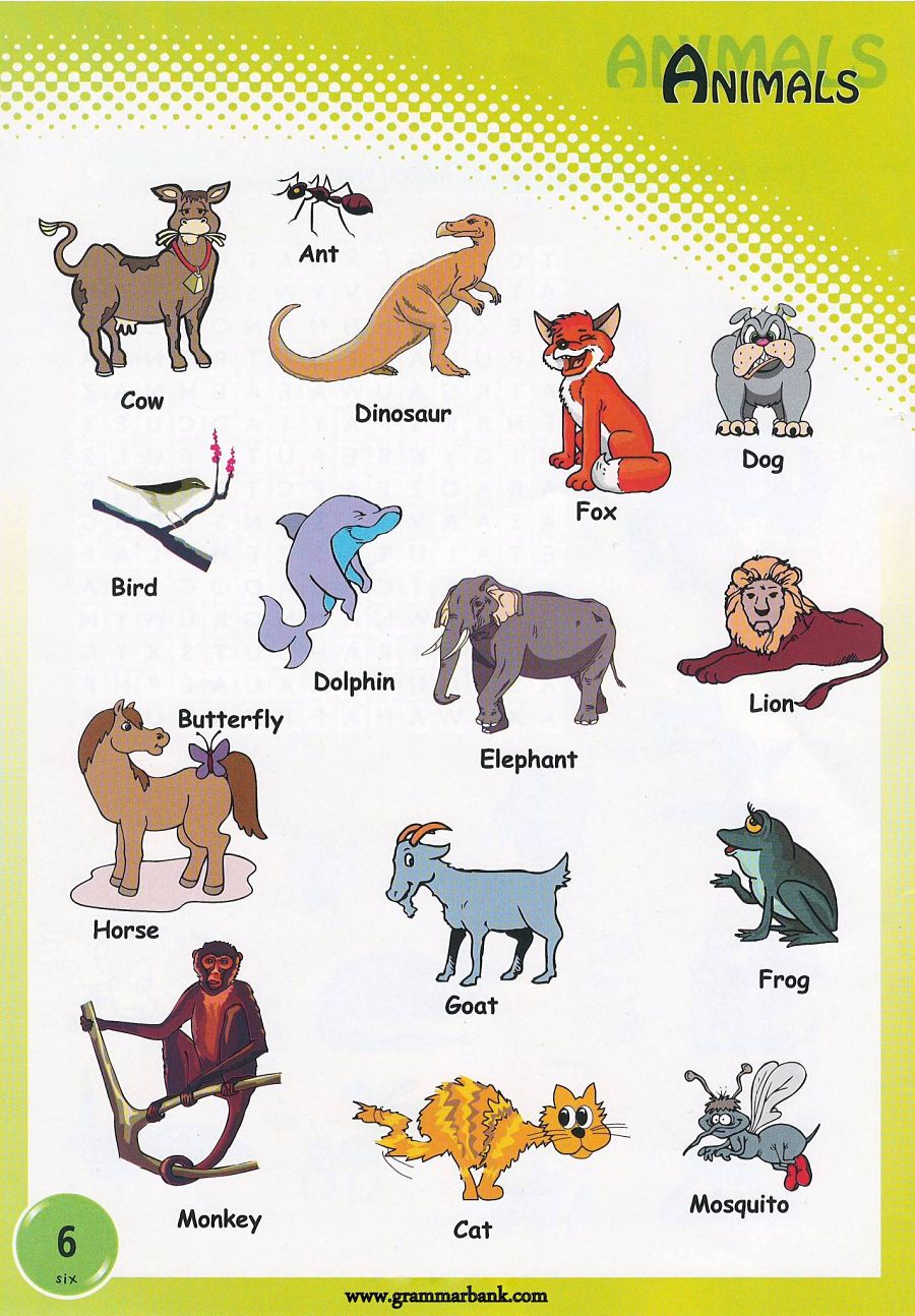 Animals Vocabulary For Kids