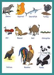 Animals Vocabulary With Pictures