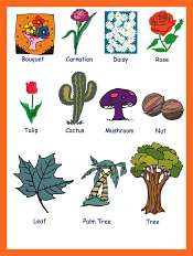 ESL Picture Vocabulary - GrammarBank